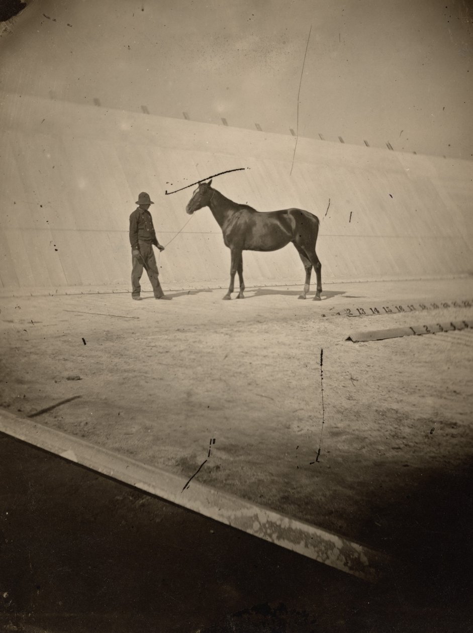 Detalj av banan på Leland Stanfords hästgård i Palo Alto,1878-1879 (foto) av Eadweard Muybridge