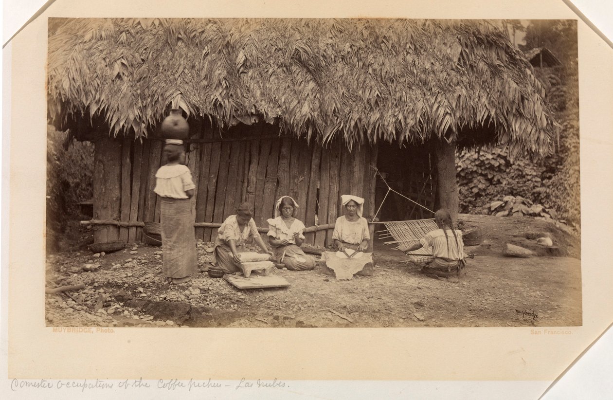 Kaffeplockarnas hushållssysslor, Las Nubes, Guatemala av Eadweard Muybridge