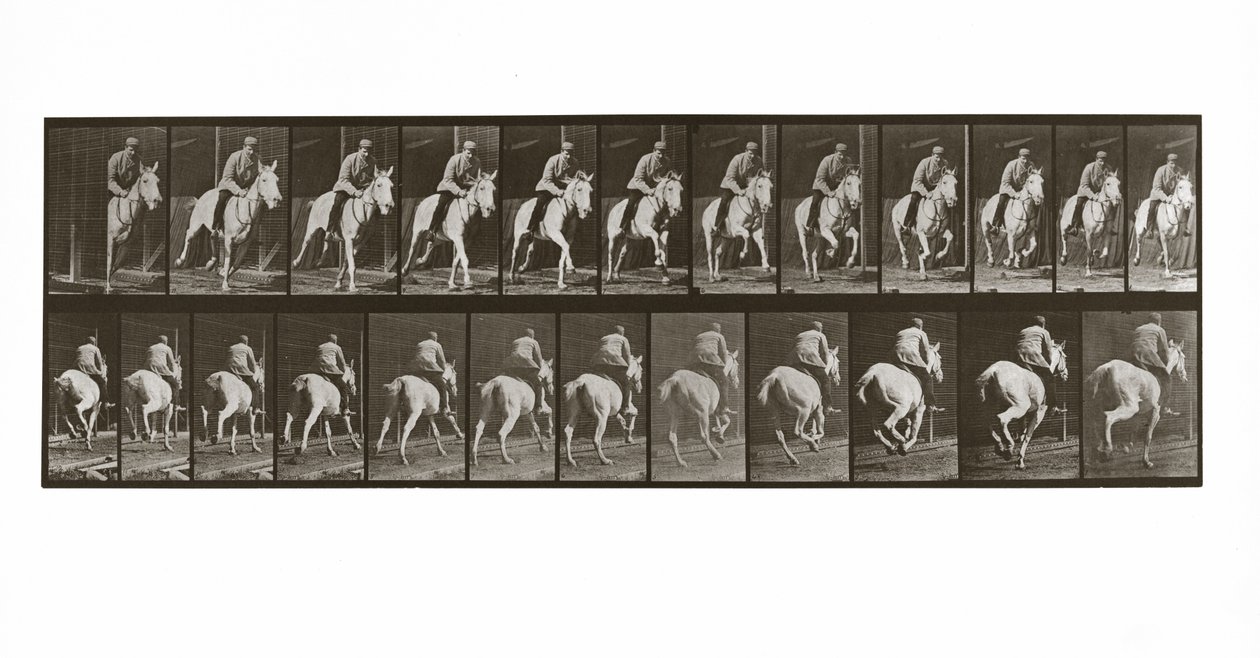 Galopperande häst med ryttare, skylt 635 från Animal Locomotion, 1887 av Eadweard Muybridge