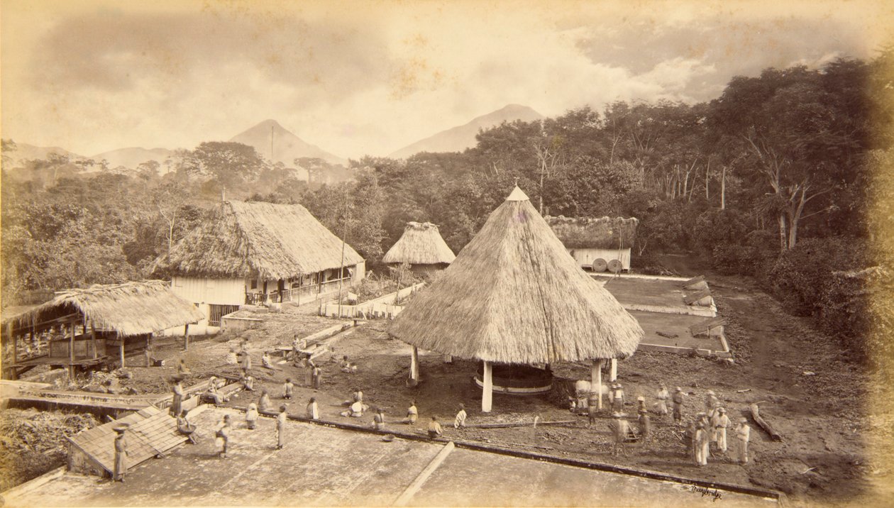 Hacienda William Nelson, San Isidro, Guatemala av Eadweard Muybridge