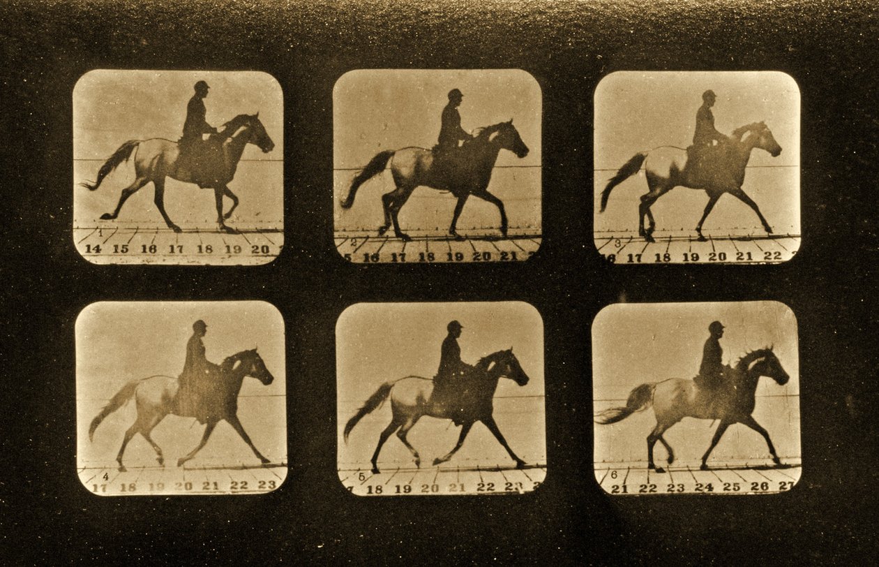 Hästar. Irregular, 