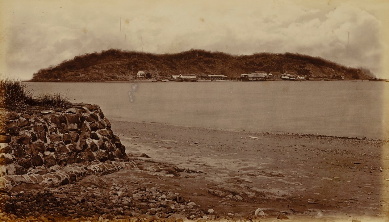 Ön Naos, från Perico, Panamabukten av Eadweard Muybridge