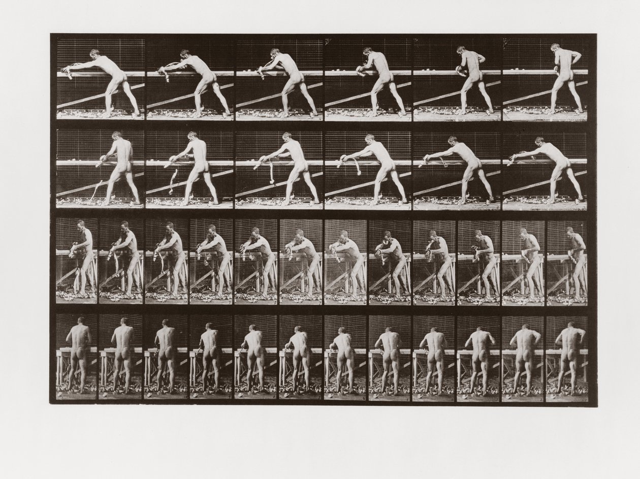 Man hyvlar ved, tavla 379 från Animal Locomotion, 1887 av Eadweard Muybridge