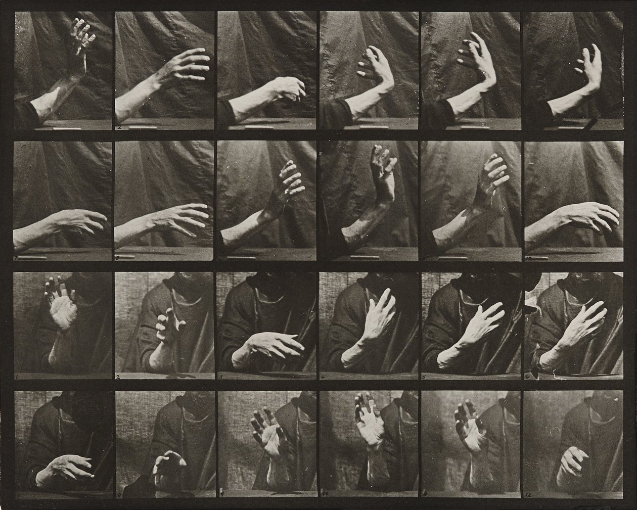 Rörelse av handen; slagtid av Eadweard Muybridge