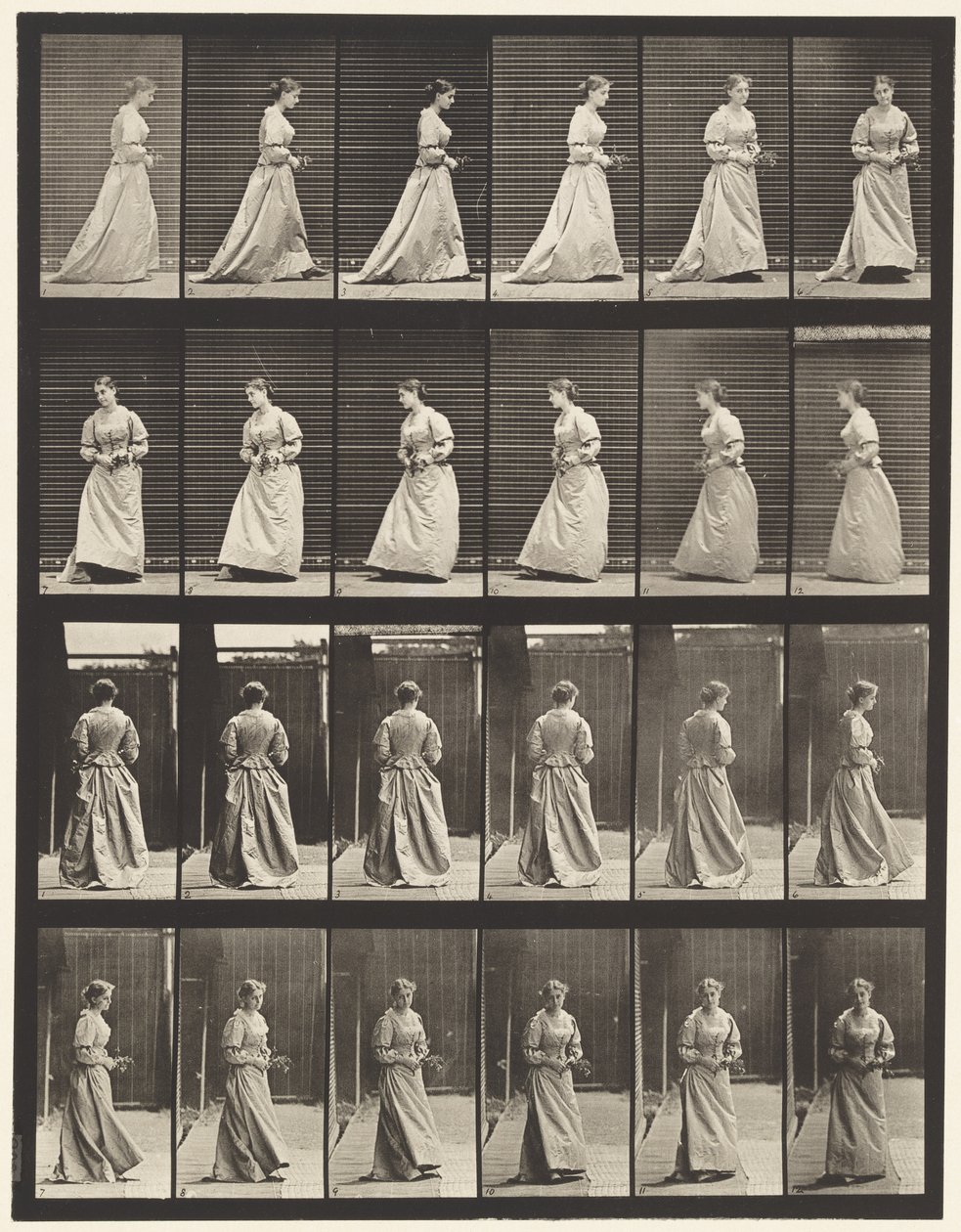 Plåt 100. Svängande och uppgående trappor, 1885 av Eadweard Muybridge