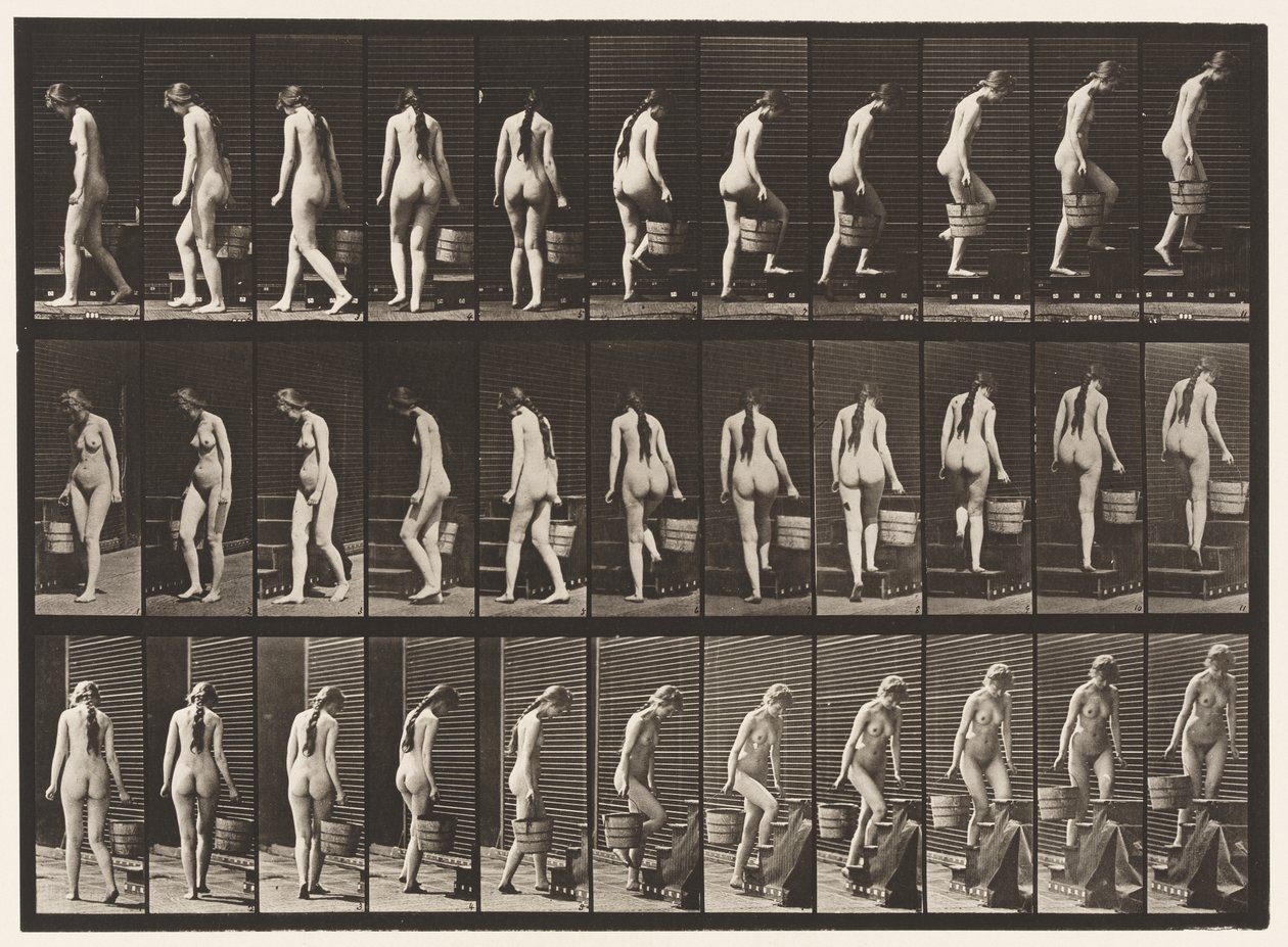 Plåt 102. Svängande och uppåtgående trappor, hinkvatten i Rt Hand, 1872-1885 av Eadweard Muybridge