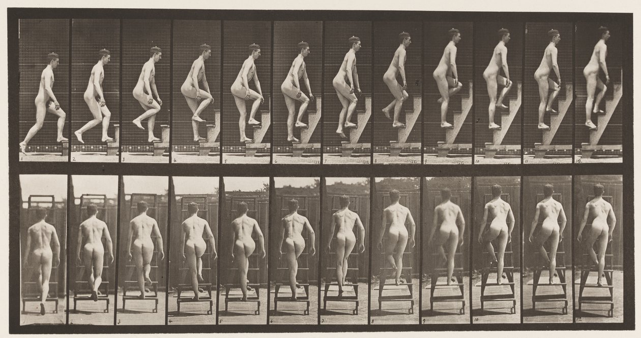 Tavla 109. Stigande stege, 1872-1885 av Eadweard Muybridge