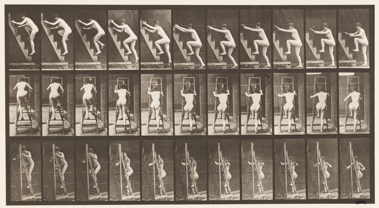 Plåt 110. Stigande stege, två steg åt gången av Eadweard Muybridge