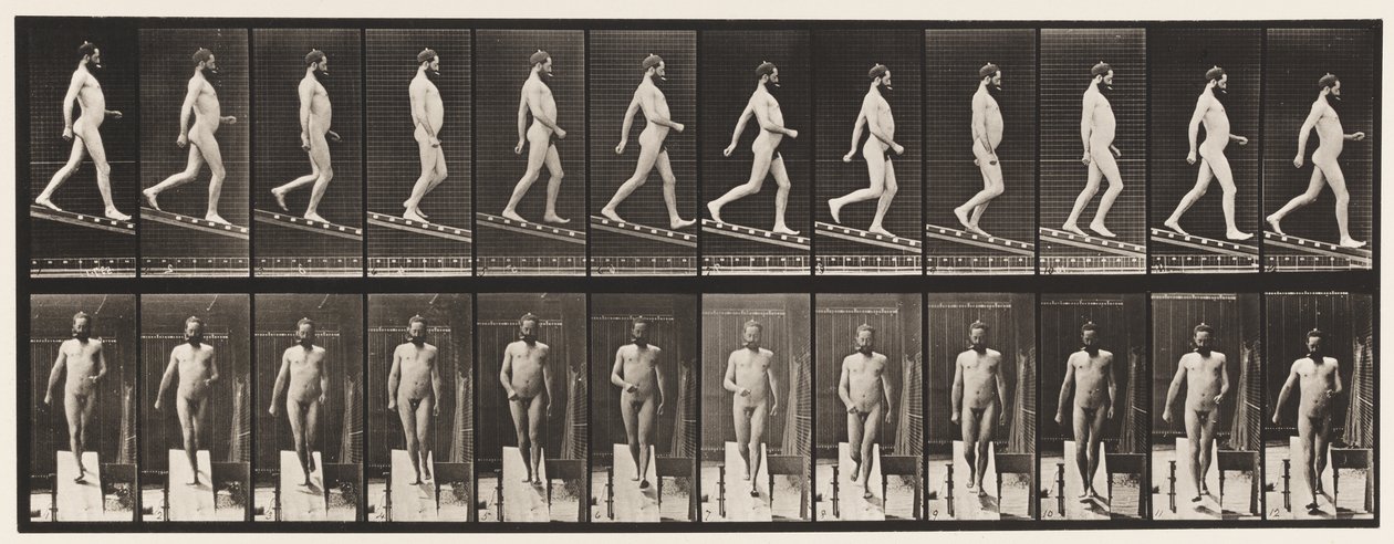 Plåt 113. Descending Incline, 1 på 4, 1872-1885 av Eadweard Muybridge