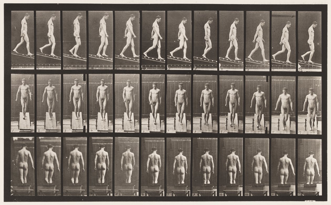 Plåt 114. Nedåtgående lutning, vinkel 1 på 4, 1872-1885 av Eadweard Muybridge