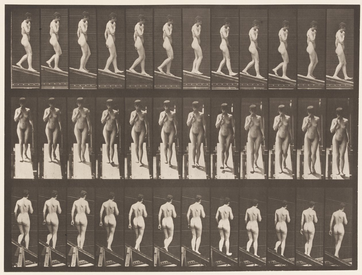 Tallrik 116. Nedåtgående lutning, en hand på hakan av Eadweard Muybridge