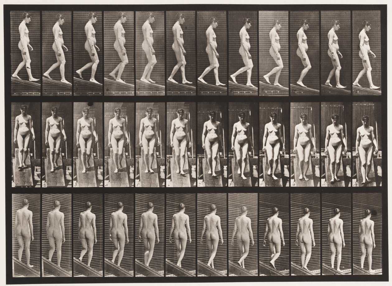 Plåt 117. Descending Incline, 1872-1885 av Eadweard Muybridge