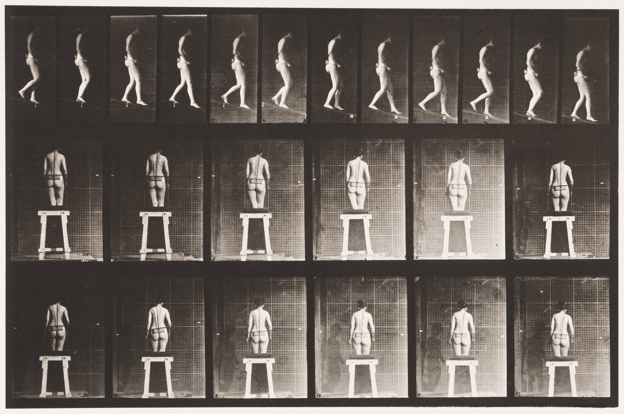Plåt 118. Nedåtgående lutning av Eadweard Muybridge