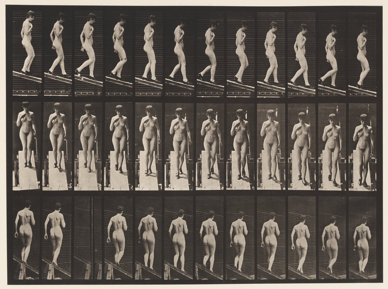 Skylt 119. Nedåtgående lutning, höger hand på bröstet (skor) av Eadweard Muybridge