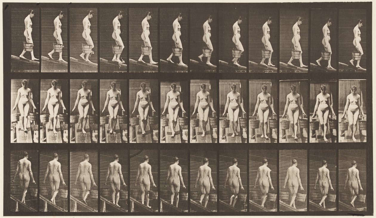 Tavla 121. Nedåtgående lutning, en hink med vatten i varje hand av Eadweard Muybridge