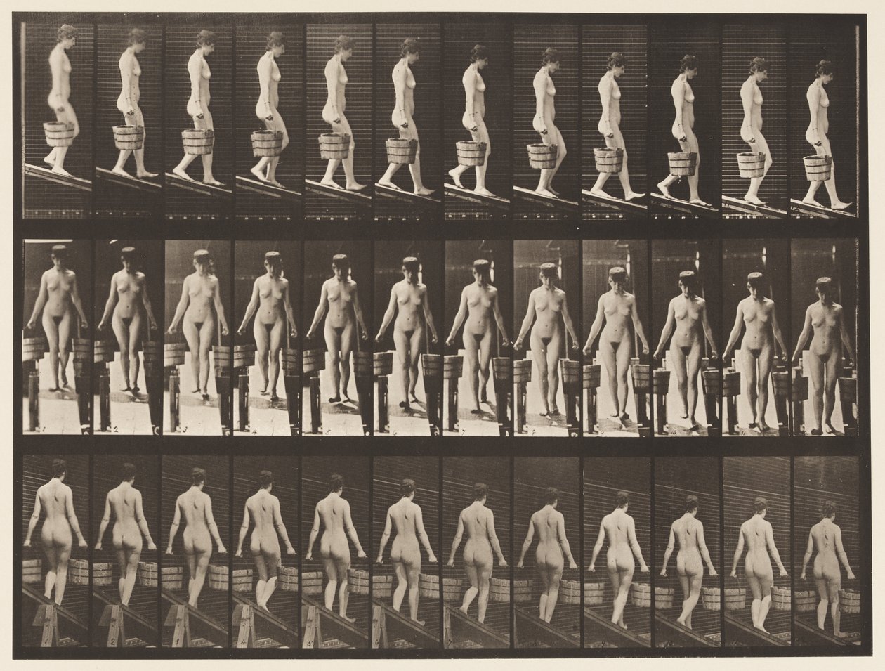 Plåt 122. Nedåtgående lutning, hink med vatten i varje hand, 1872-1885 av Eadweard Muybridge