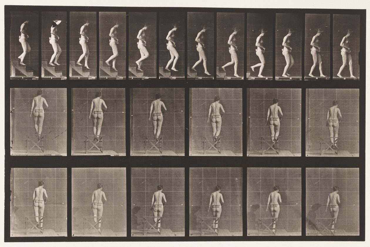 Tavla 130. Nedåtgående trappor, händerna knäppta, 1872-1885 av Eadweard Muybridge