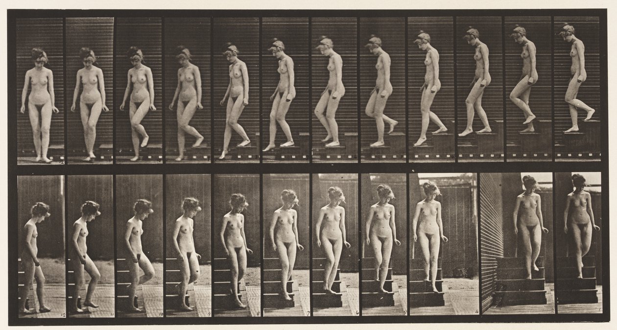 Tavla 137. Nedgående trappor, vänder sig om av Eadweard Muybridge