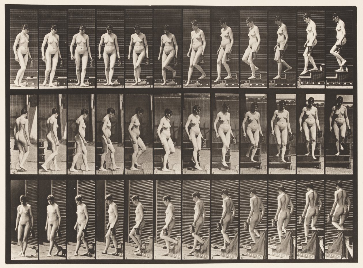 Tavla 138. Nedåtgående trappa Vändning; Kanna i vänster hand av Eadweard Muybridge