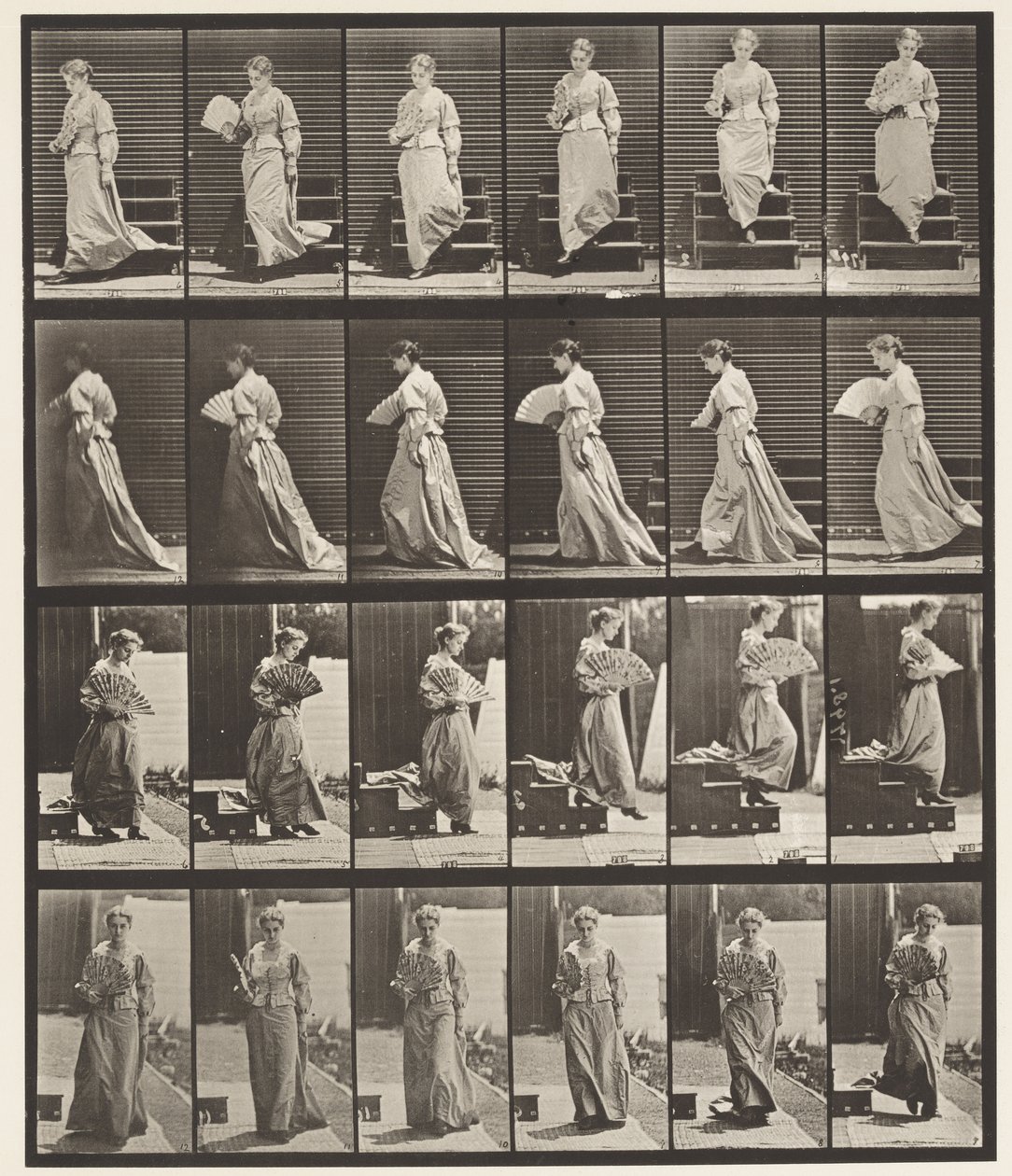 Tallrik 141. Nedgångstrappa och flirtande fläkt av Eadweard Muybridge