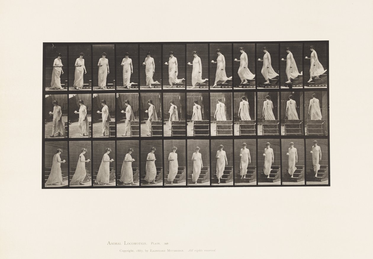 Tallrik 143. Nedåtgående lutning, vändkopp och fat i höger hand av Eadweard Muybridge