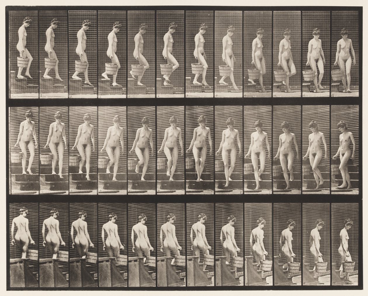 Tavla 145. Nedgångstrappa; Att vända hinkvatten i höger hand, 1872-1885 av Eadweard Muybridge