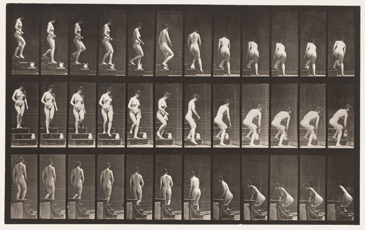 Tavla 149. Nedgångstrappa; Böjer sig för att lyfta en kanna, 1872-1885 av Eadweard Muybridge