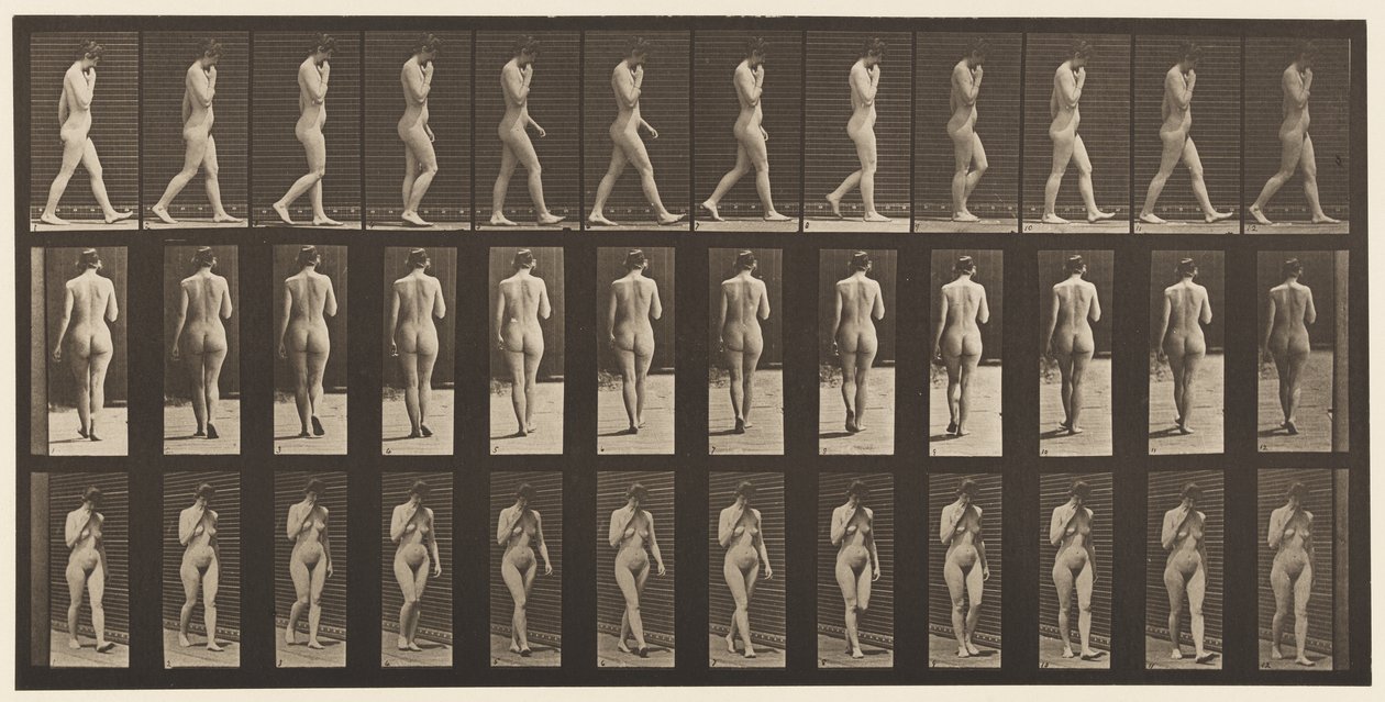 Plåt 14. Walking, Right Hand at Chin, 1872-1885 av Eadweard Muybridge