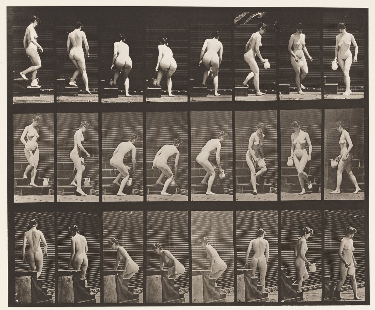 Tavla 150. Nedgångstrappa; Böjning, lyftande kanna, svarvning, 1872-1885 av Eadweard Muybridge