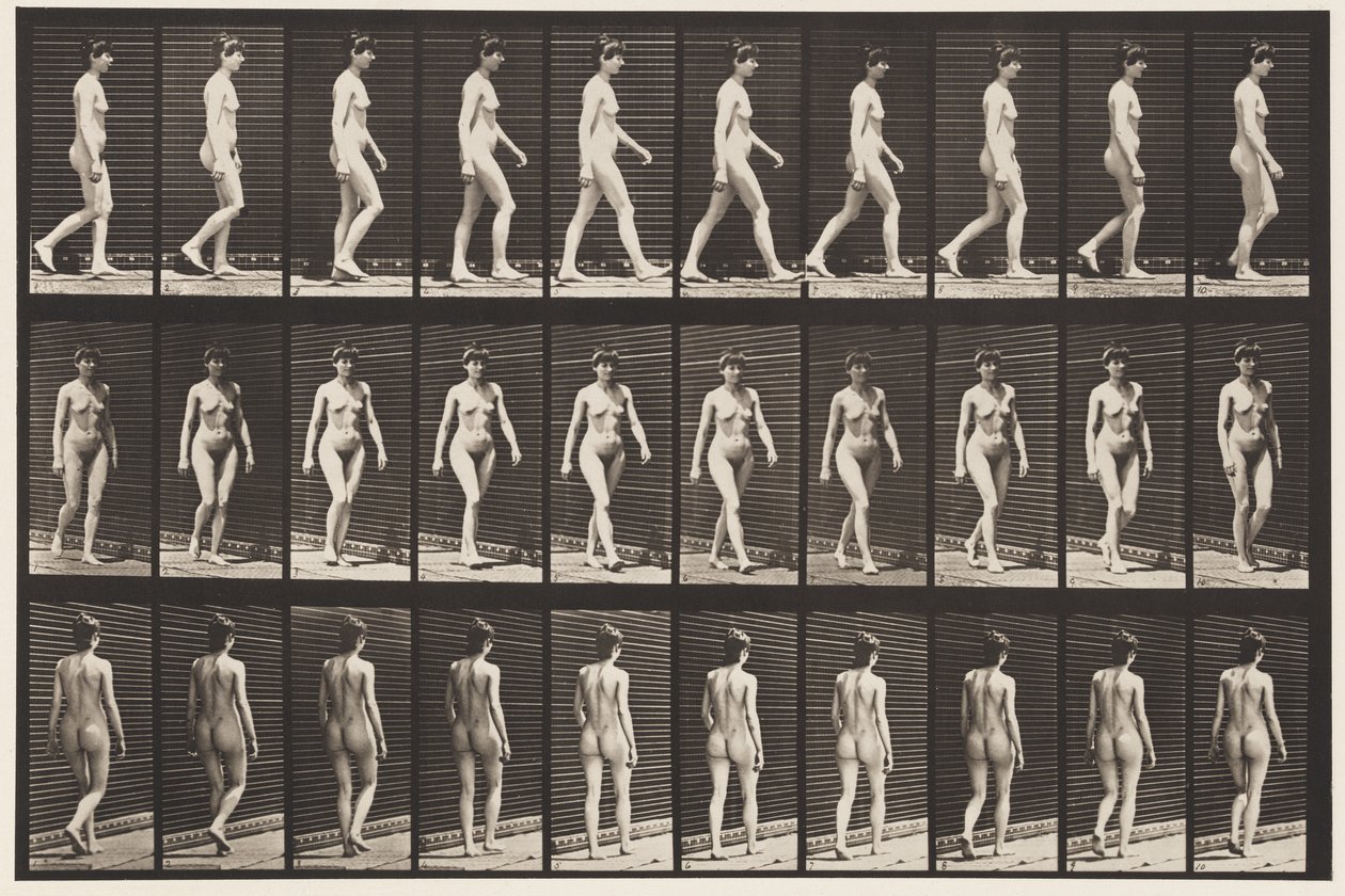 Plansch 16. Vandring, 1872-1885 av Eadweard Muybridge
