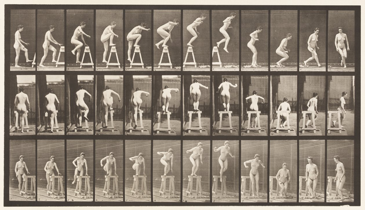 Tavla 171. Att trampa på en bock; Hoppa ner, vända av Eadweard Muybridge