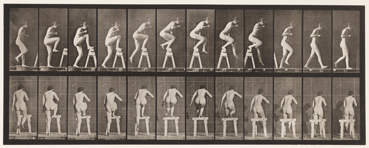 Tallrik 178. Att trampa på och över en bock av Eadweard Muybridge