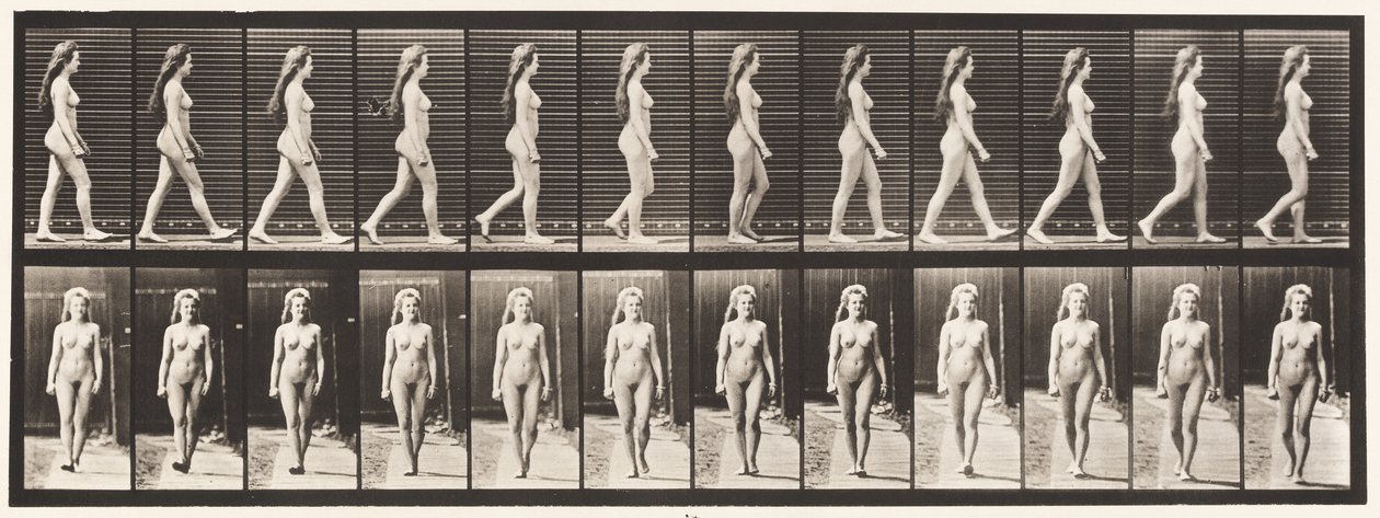 Plansch 17. Vandring, 1872-1885 av Eadweard Muybridge