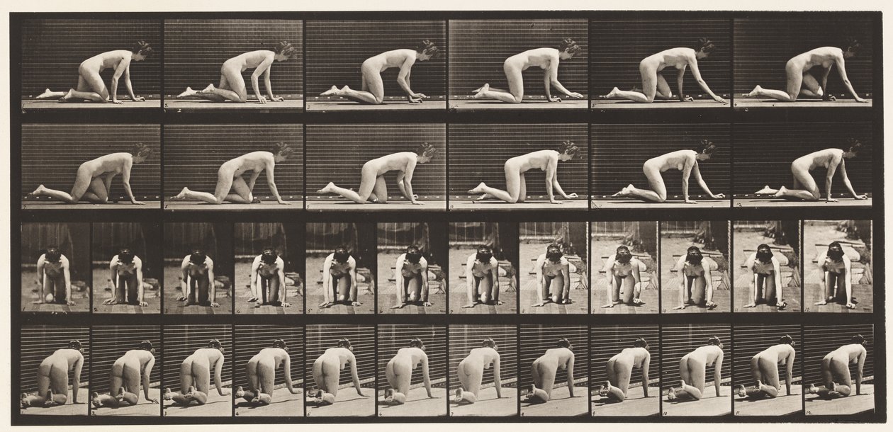 Tallrik 182. Krypande på händer och knän av Eadweard Muybridge