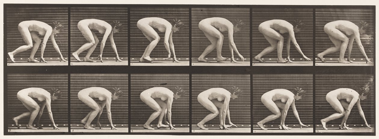 Plåt 183. Gå på händer och fötter av Eadweard Muybridge