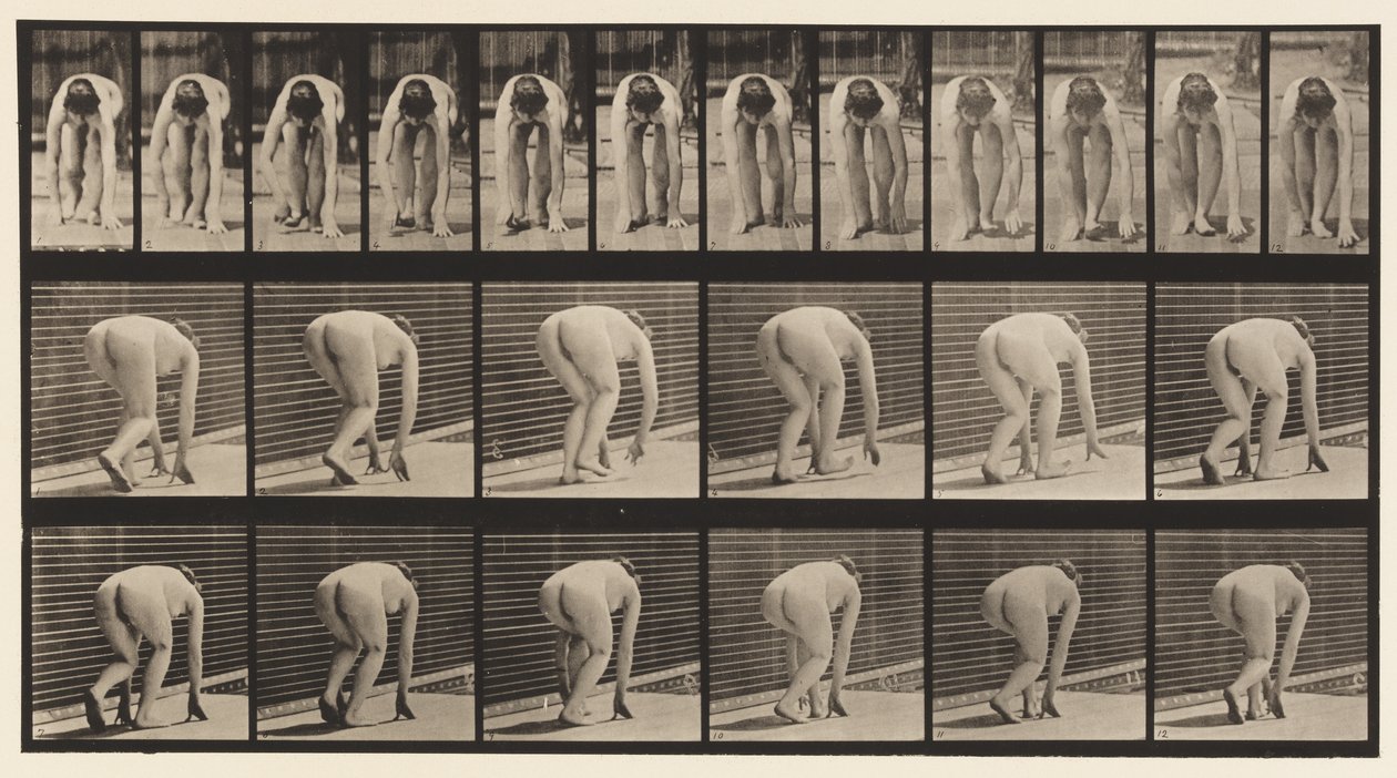 Plåt 184. Gå på händer och fötter av Eadweard Muybridge