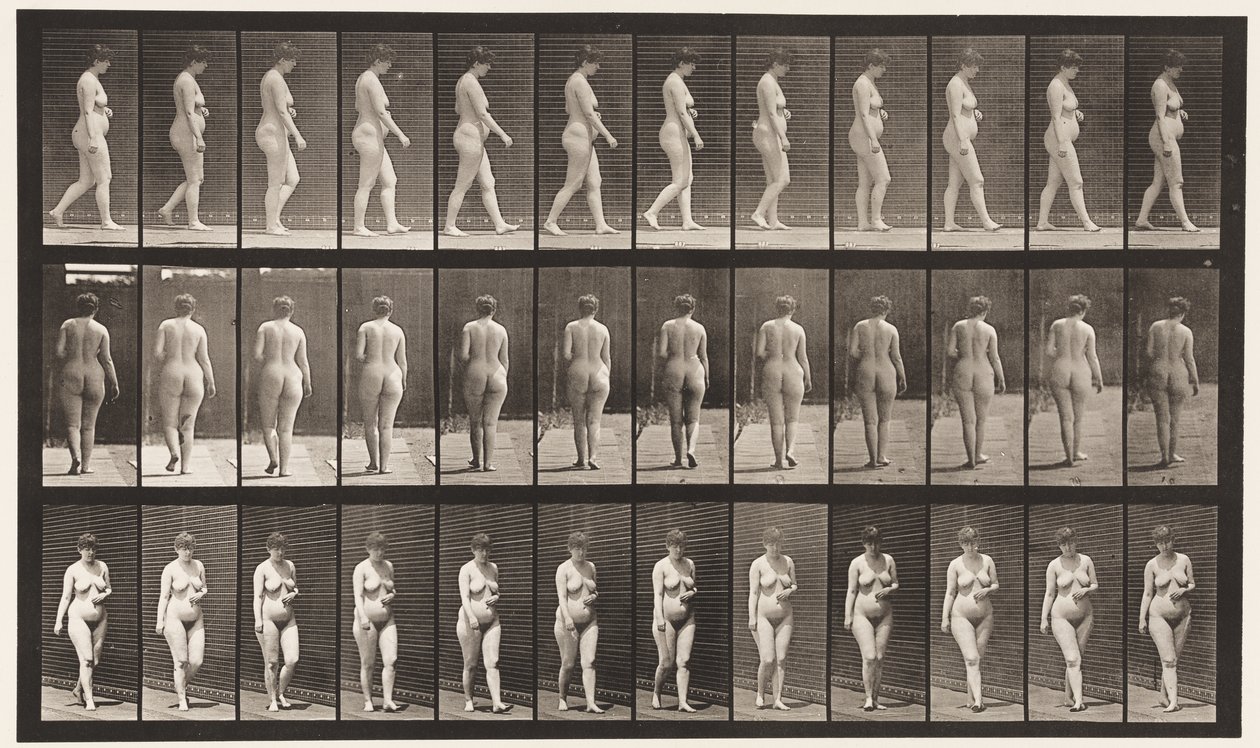 Plåt 18. Gå, vänster hand över buken, 1872-1885 av Eadweard Muybridge