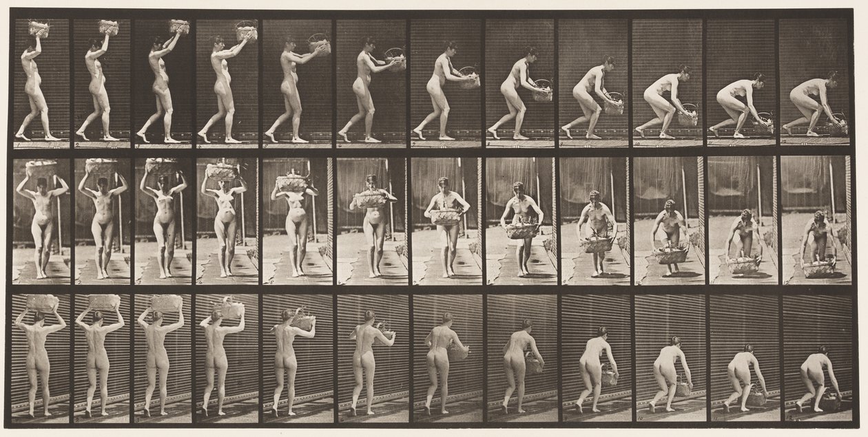Plåt 201. Tar 12-lbs korg från huvudet, lägger den på marken, 1872-1885 av Eadweard Muybridge