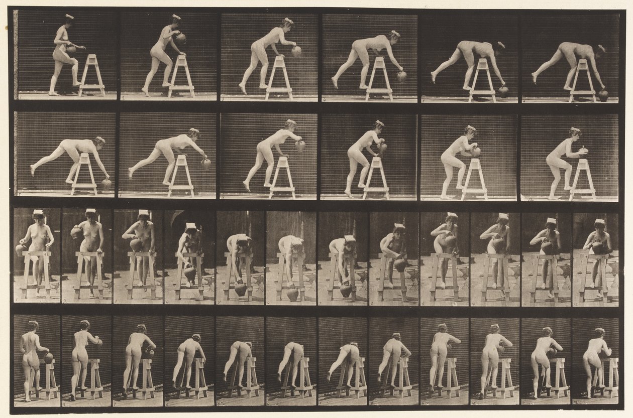 Tallrik 203. Böjer sig över en bock med vattenburk av Eadweard Muybridge