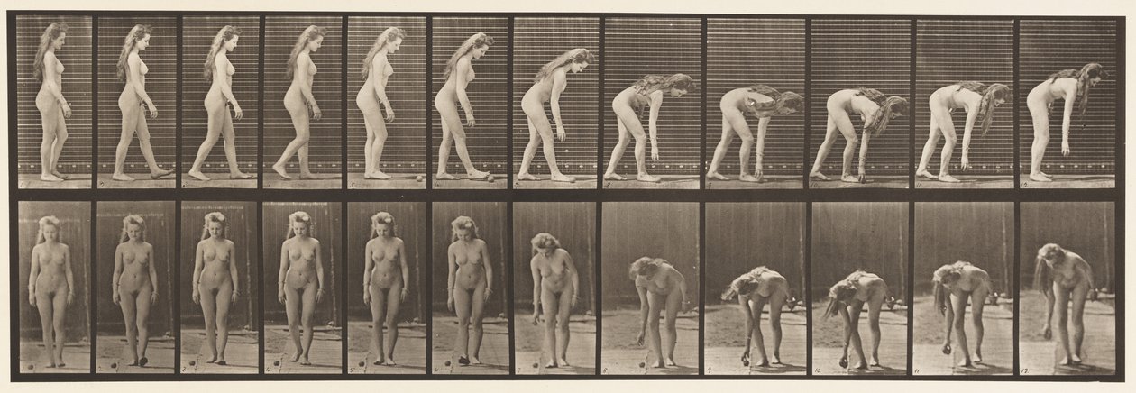 Tallrik 204. Stanna för att plocka upp bollen av Eadweard Muybridge