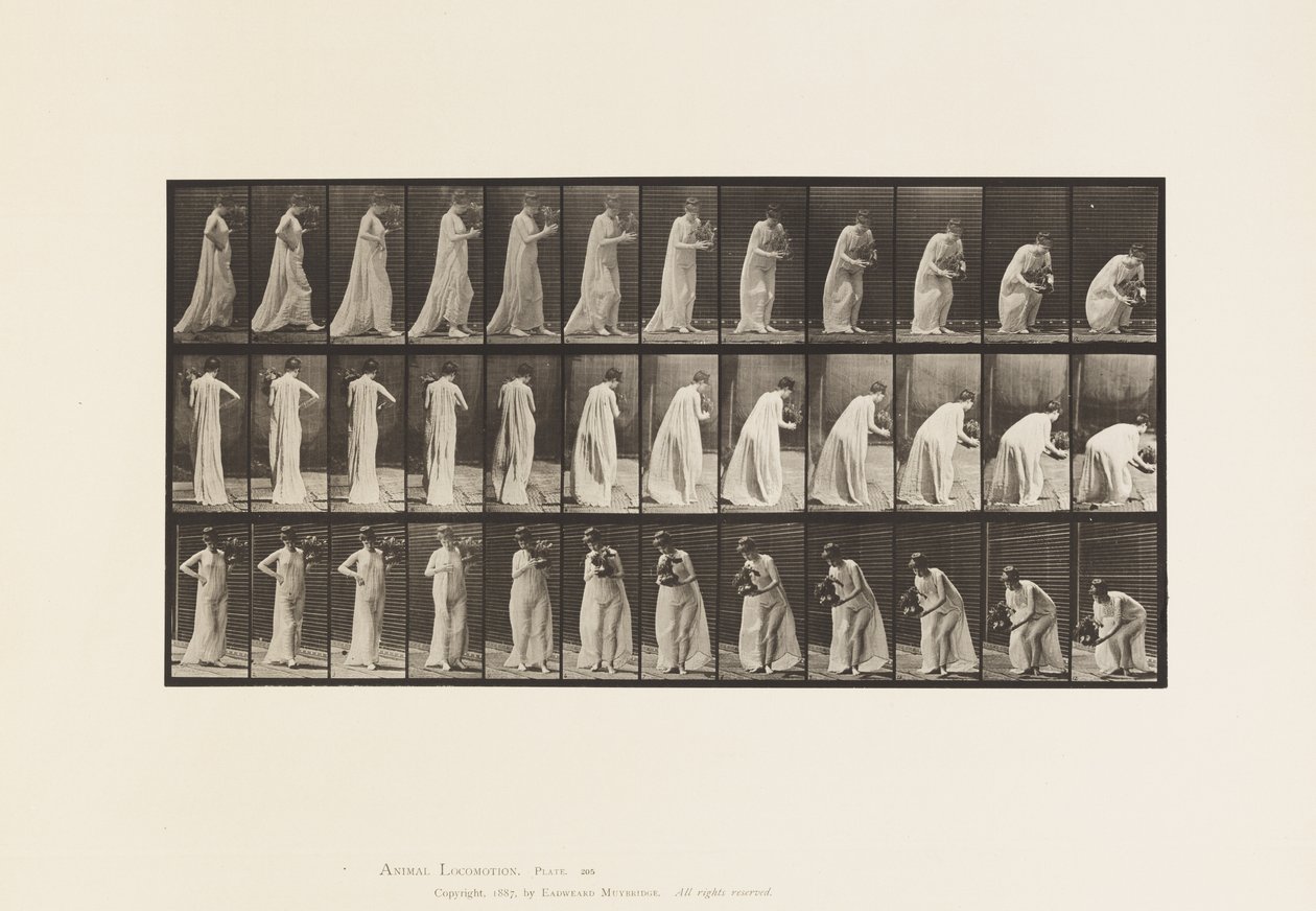Tallrik 205. Bärande och lutande med vas, 1885 av Eadweard Muybridge