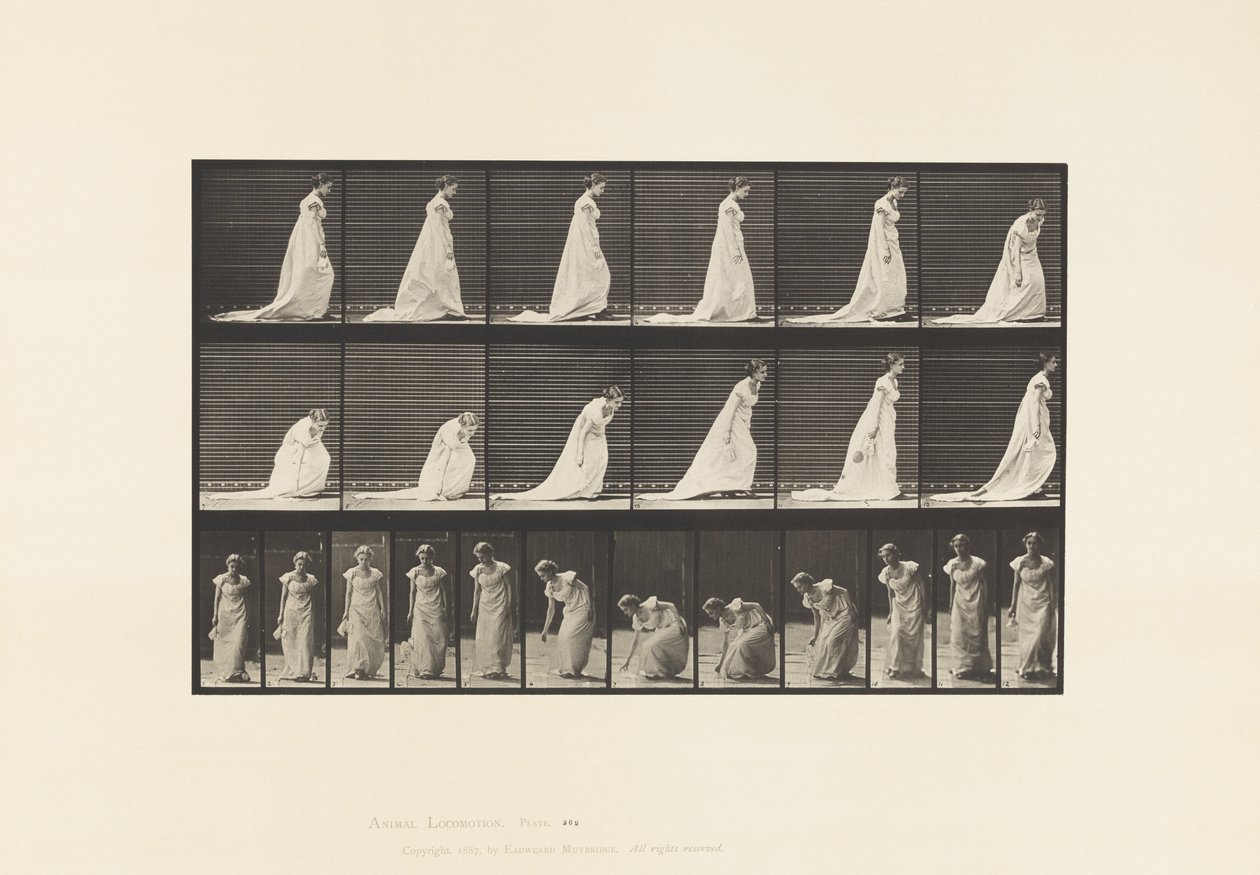 Plåt 209. Böja och lyfta en näsduk, 1885 av Eadweard Muybridge