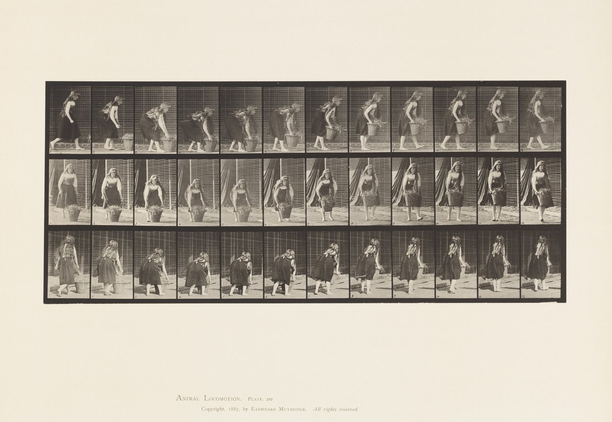 Tallrik 217. Luta, lyfta och bära 30 lb korg, 1885 av Eadweard Muybridge