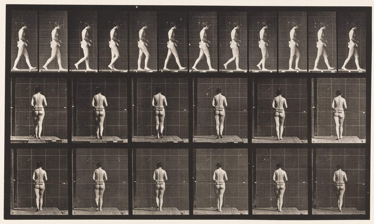 Plåt 21. Går, båda armbågarna böjda av Eadweard Muybridge