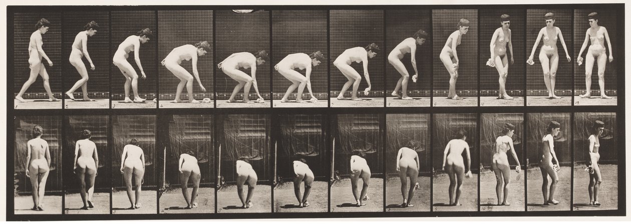 Tallrik 220. Böjande och lyftande Näsduk och Vändning av Eadweard Muybridge