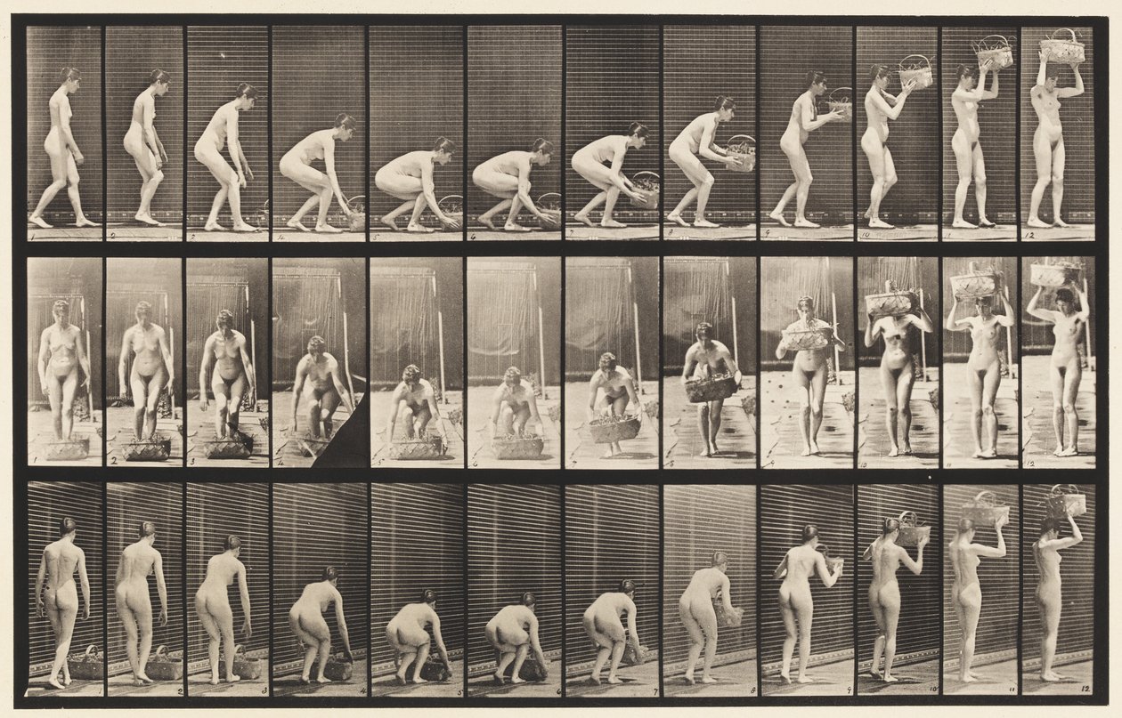 Tallrik 221. Böjning och lyftning av 12 lbs korg till huvudet av Eadweard Muybridge
