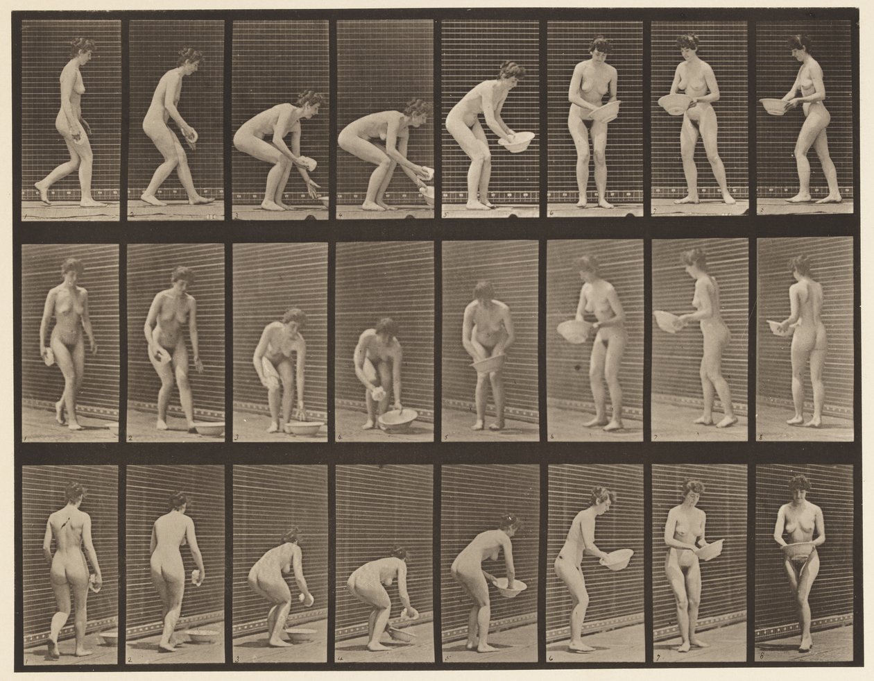 Plåt 223. Böj- och lyftbassäng, torka och vända, 1872-1885 av Eadweard Muybridge