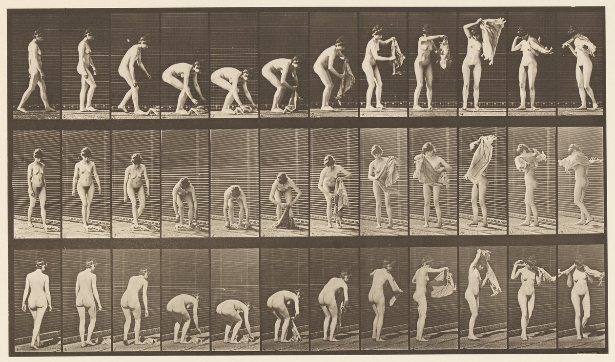 Tallrik 227. Lyftduk från marken, 1872-1885 av Eadweard Muybridge