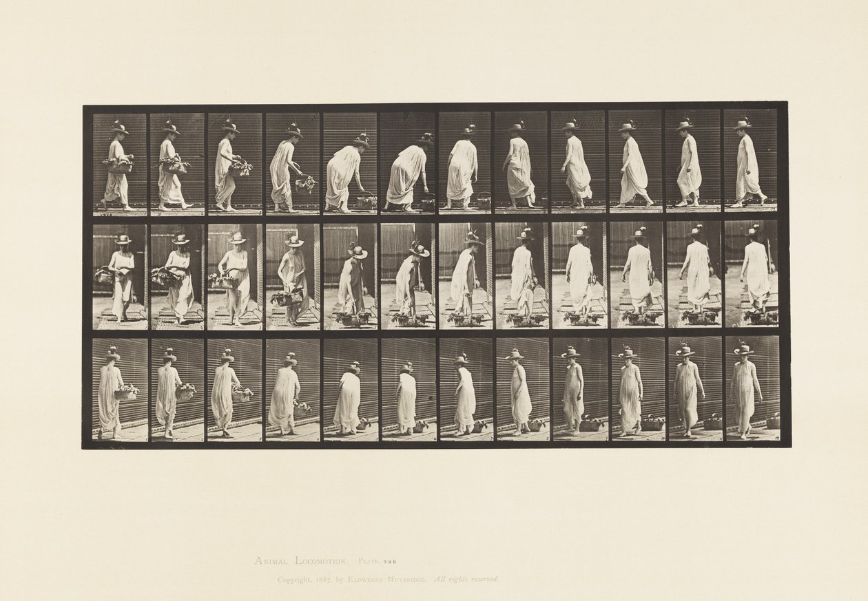 Plåt 229. Placera korgen på marken och vända av Eadweard Muybridge