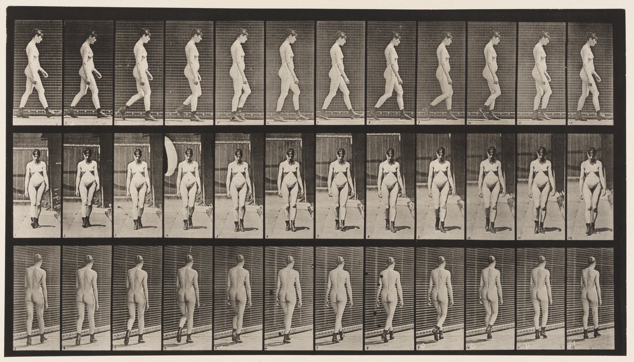 Skylt 22. Gå, med högklackade stövlar på, 1872-1885 av Eadweard Muybridge